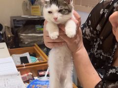 -筋骨堂热敷推拿按摩(翠华路店)