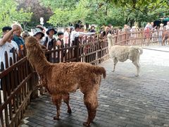 -西安秦岭野生动物园