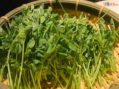 活体豌豆苗-捞王锅物料理(凯旋路店)