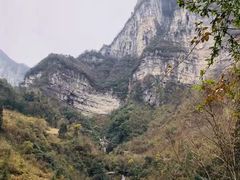-鹿院坪生态旅游景区