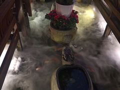 -三只耳火锅(宽窄巷子店)