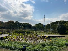 -美兰湖景区
