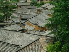 -杨家堂村