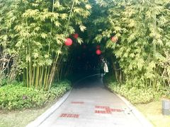 -筼筜书院