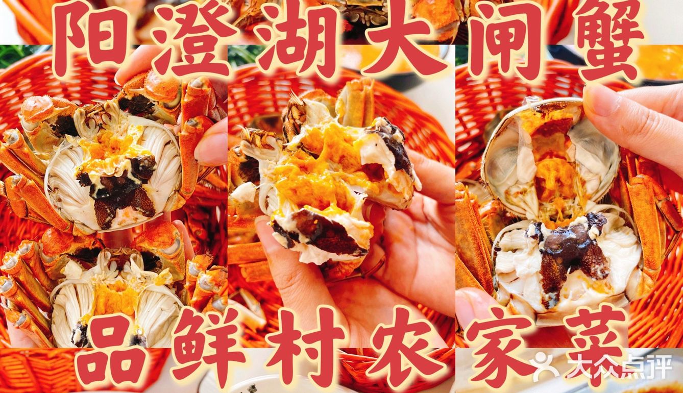 神仙美味~/蟹天蟹地/阳澄湖大闸蟹🦀
