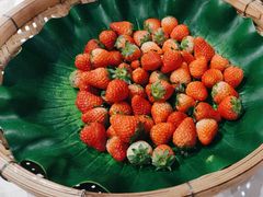 -云海轩·海鲜自助-河北云瑧世纪大饭店1F