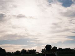 -空港花田景区