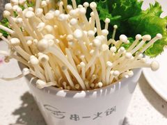 -串一火锅(赛格国际购物中心店)
