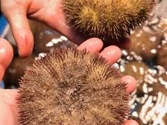 -南山酒肆(南山董事绘店)