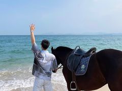 -玫瑰海岸文化旅游度假区