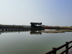 -宁波杭州湾国家湿地公园