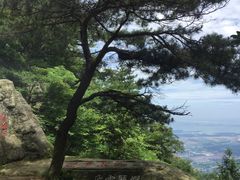 -庐山恋影院(河西路店)