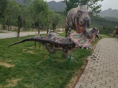 -西部长青自然儿童乐园