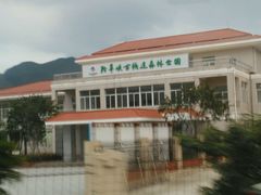 -羚羊峡古栈道森林公园