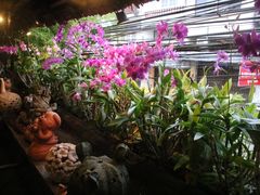 -自然餐厅(Phuket)