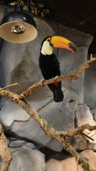 -Zoolung Zoolung动物主题公园(海信广场店)