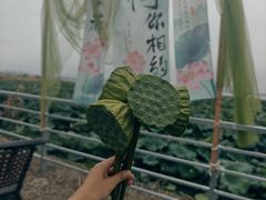 -七的湖·晚芳亭·阳澄湖农家菜·大闸蟹(莲花岛店)