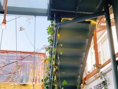 -喵屿·大理花园猫咖