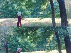 -长白岛森林公园