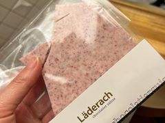 -Laderach 莱德拉(上海环贸iapm店)