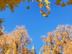 -北京石刻艺术博物馆(五塔寺)