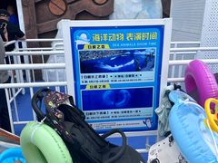 -秦皇岛乐岛海洋王国