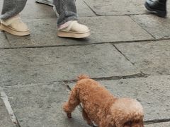 -衣裳街历史文化街区