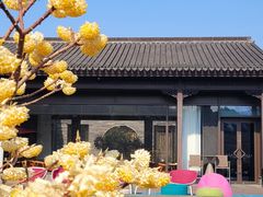 -雅达·阳羡溪山小镇中心