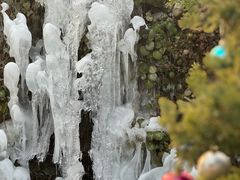 -林间山庄