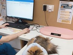 -瑞派康怡24h宠物医院·犬猫医疗中心·微创绝育(瑞景分院)