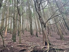 -庐山风景名胜区