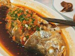 -大鸽饭(马王堆店)