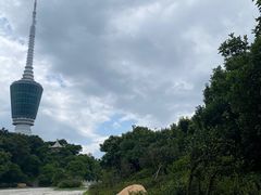 -梧桐山风景名胜区