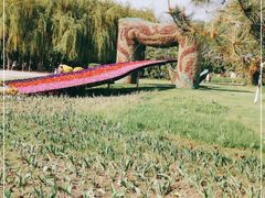 -长春公园(普阳街道)