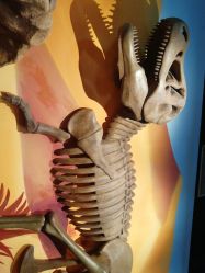 -北京科学中心儿童乐园