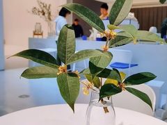 -intime coffee(芝麻街店)