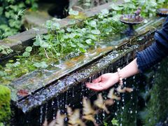 -野蔓果·山野菜(西湖景区·龙井茶田店)