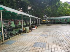 -福田区北环中学