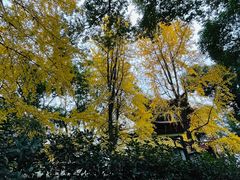 -成都市文殊院
