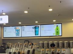 -雾与山茶(大禹城店)
