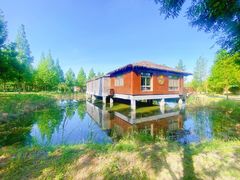 -泗洪洪泽湖湿地景区