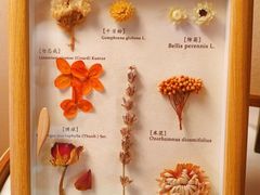 -宫七SPA·高端Massage(浦东大道店)