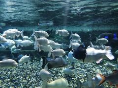 -成都浩海立方海洋公园