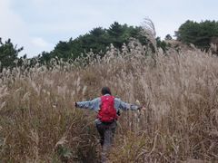 -罗田天堂寨风景区