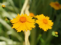 -济南国际园博园