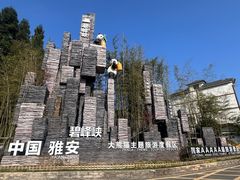 -中国大熊猫保护研究中心雅安碧峰峡基地