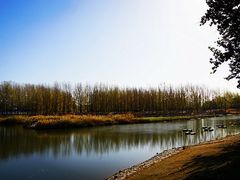 -天津武清北运河郊野公园房车露营地
