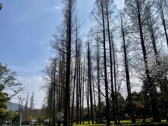 -西湖国宾馆·紫薇厅