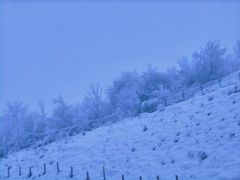 -水磨沟公园