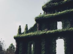 -武清南湖绿博园
